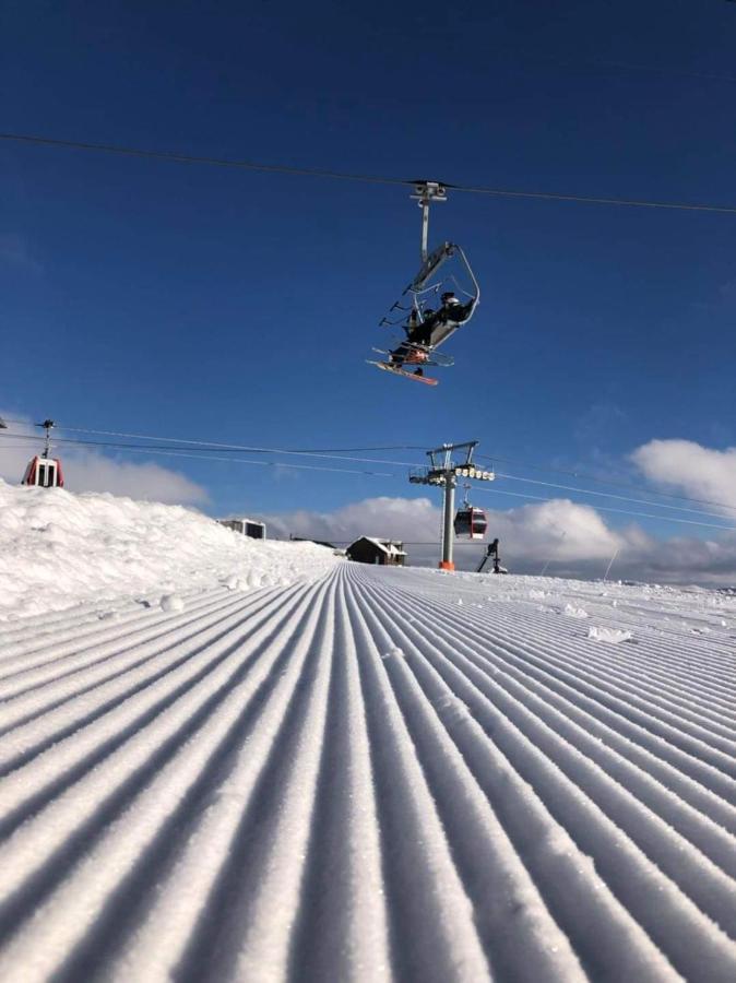 New Gudauri Redco Twins-Premium Mountain Apartment Close The Gondola Lift Zewnętrze zdjęcie